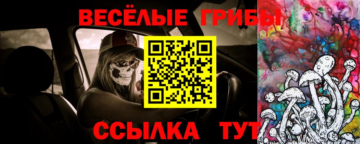 Гашиш  Бошки Шишки  Вход с VPN  NBOMe  A PVP СК   ГАШИШ  Котовск  Меф МЯУ МЯУ   Меф  МДМА 