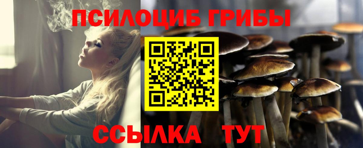 Котовск  цена   Вход с VPN  Псилоцибиновые грибы MAGIC MUSHROOMS 