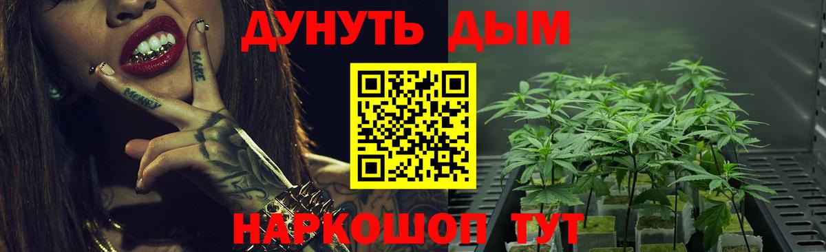 Каннабис индика Котовск